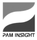 PAM Insight / thewealthnet | The 50 Most Influential in Wealth Management logo