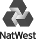 County NatWest Securities logo