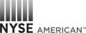 American Stock Exchange (AMEX) logo