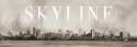 The Skyline Museum logo