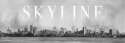 The Skyline Museum logo
