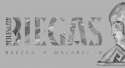 Boleslaw Biegas Museum logo