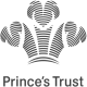 The Prince's Trust Enterprise Fellowship logo