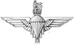 10th Battalion, The Parachute Regiment logo