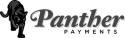 Panther Payments Group logo