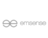 EmSense Corporation logo