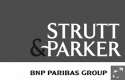 Strutt & Parker logo