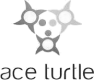 ace turtle logo