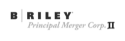 B. Riley Principal Merger Corp. II logo