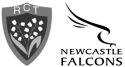RC Toulonnais & Newcastle Falcons logo