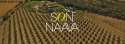 Son Naava logo