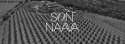 Son Naava logo