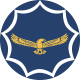 South African Air Force logo