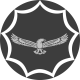 South African Air Force logo