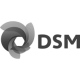 DSM logo