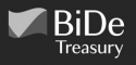 BiDe Group logo