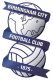 Birmingham City Plc logo