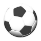 Yonkers Soccer Federation logo