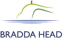 Bradda Head Holdings Ltd logo