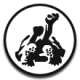 Charles Darwin Foundation logo