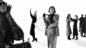 Zara Woman | Studio Fall ‘21 Collection logo