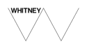 Whitney Museum of American Art logo