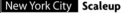 New York City Scaleup logo