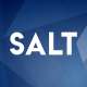 SALT New York logo