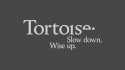 The Tortoise G7bn Summit: What do people of the world need from their leaders now? logo