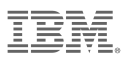 IBM Business Consulting Services logo