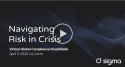 Navigating Risk in Crisis logo