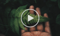 Replenish Earth  - YouTube logo