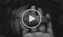 Replenish Earth  - YouTube logo