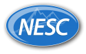 National Executive Service Corps logo