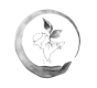 Spotlight Series: Tia Kansara - Director Replenish Earth logo