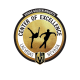 VGK Center of Excellence logo