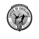 VGK Center of Excellence logo