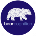 Bear Cognition